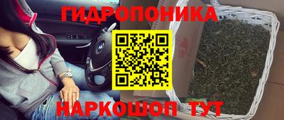 молекула духа Среднеуральск