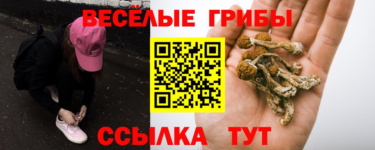 Галлюциногенные грибы GOLDEN TEACHER  Псилоцибиновые грибы MAGIC MUSHROOMS  Майский  Вход с VPN 